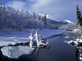 Alaskan Cruises Norwegian Alaskan Cruises Norwegian